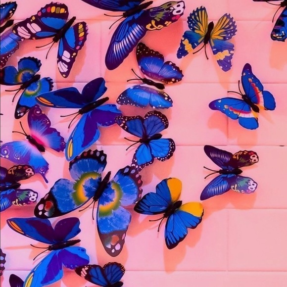 Meet your Posher, Britney - Picture 1 of 1